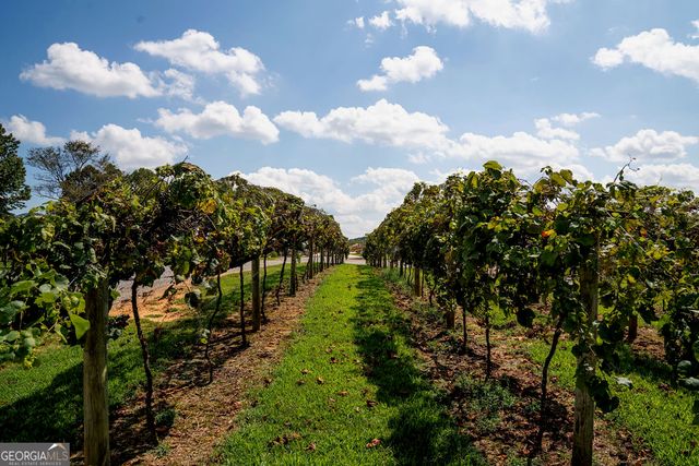 1722 High Summit Drive, Talking Rock, GA 30175