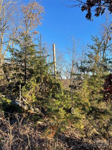 0 Brighton Drive 237, Bostic, NC 28018