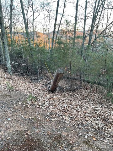 0 Brighton Drive 237, Bostic, NC 28018