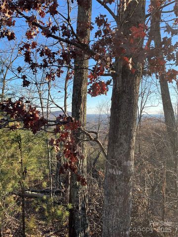 0 Brighton Drive 237, Bostic, NC 28018