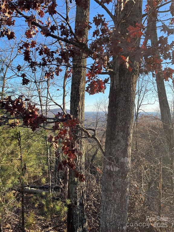 0 Brighton Drive 237, Bostic, NC 28018