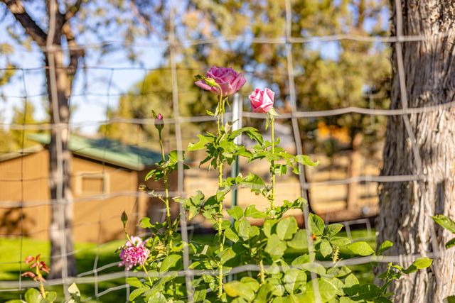 402 Claremont Drive, Madras, OR 97741