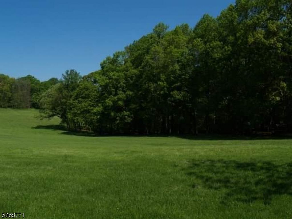 54 Hardscrabble Rd, Mendham Twp., NJ 07945 — photo 3