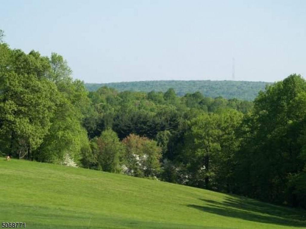 54 Hardscrabble Rd, Mendham Twp., NJ 07945 — photo 5