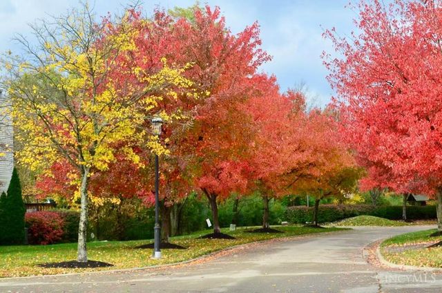 5984 Woodsbend Drive, Miami Twp, OH 45150