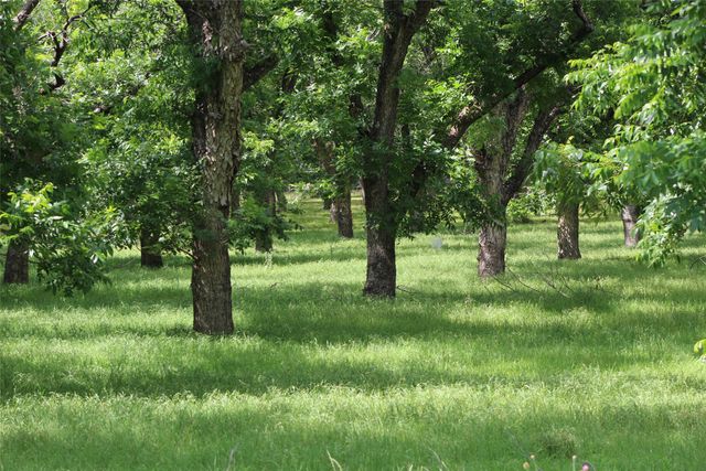 206 Poco Bueno Court, Granbury, TX 76049