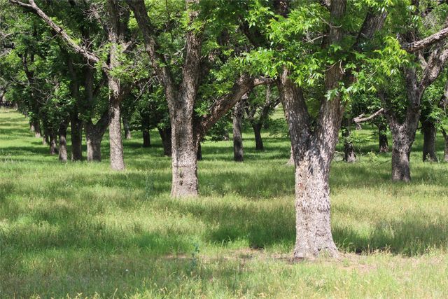 206 Poco Bueno Court, Granbury, TX 76049