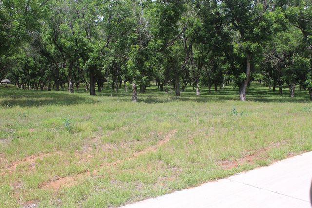206 Poco Bueno Court, Granbury, TX 76049