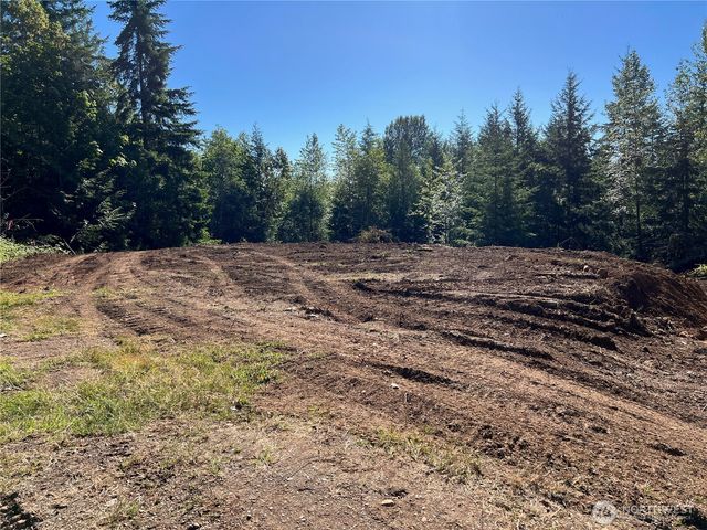 992 Sunrise, Brinnon, WA 98320