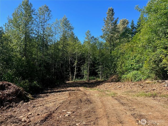 992 Sunrise, Brinnon, WA 98320