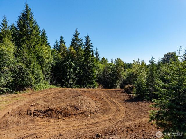 992 Sunrise, Brinnon, WA 98320