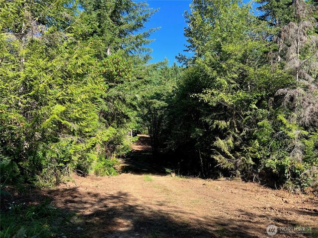 992 Sunrise, Brinnon, WA 98320
