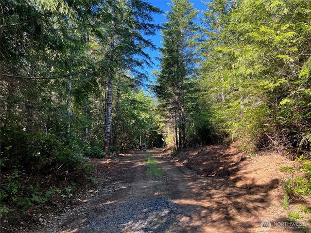 992 Sunrise, Brinnon, WA 98320