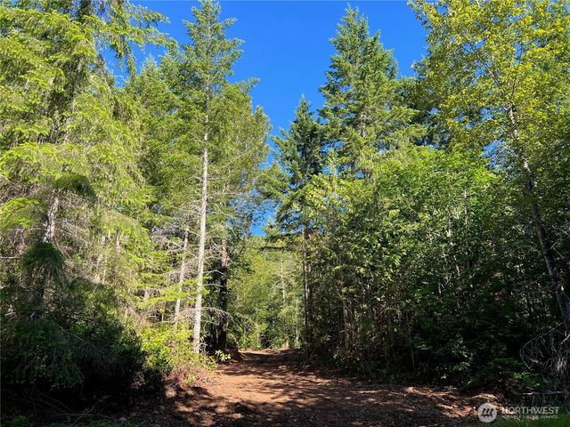 992 Sunrise, Brinnon, WA 98320