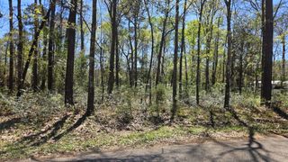 15566 Firewood Dr, Conroe, TX 77303