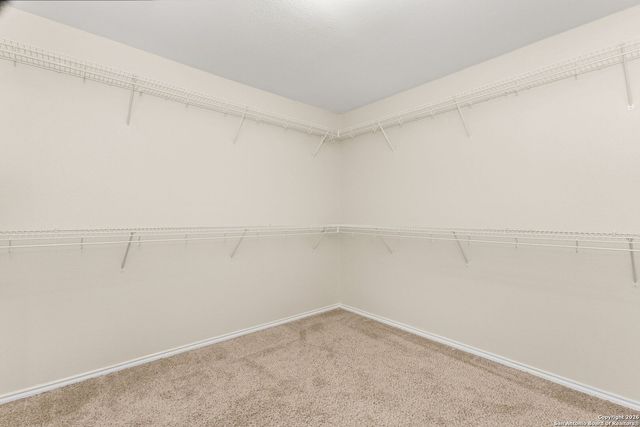 7403 Concerto, San Antonio, TX 78266