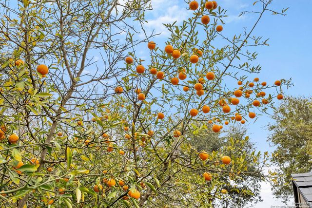 7403 Concerto, San Antonio, TX 78266