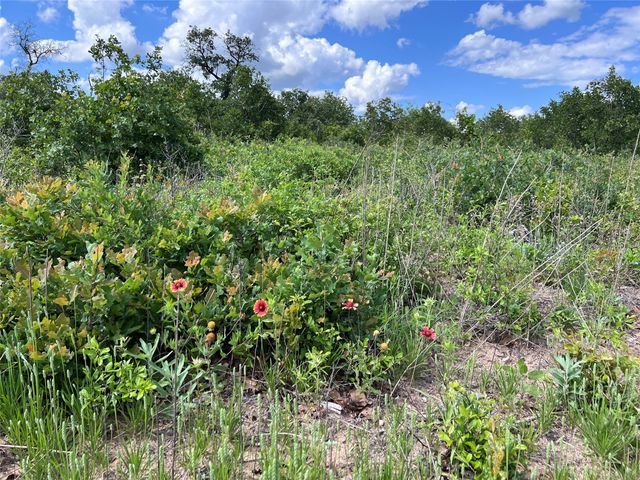 TBD Lot 35 Live Oak Trail, Clyde, TX 79510