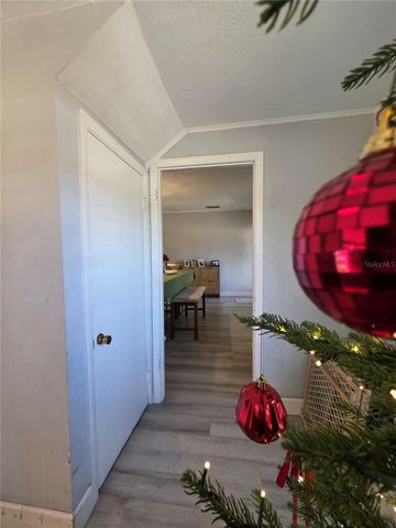 811 N DISSTON AVENUE, Tavares, FL 32778