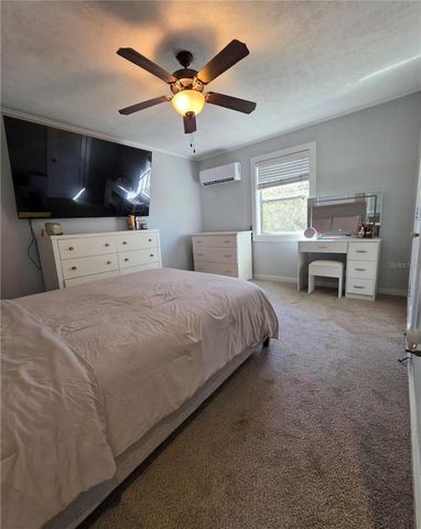 811 N DISSTON AVENUE, Tavares, FL 32778