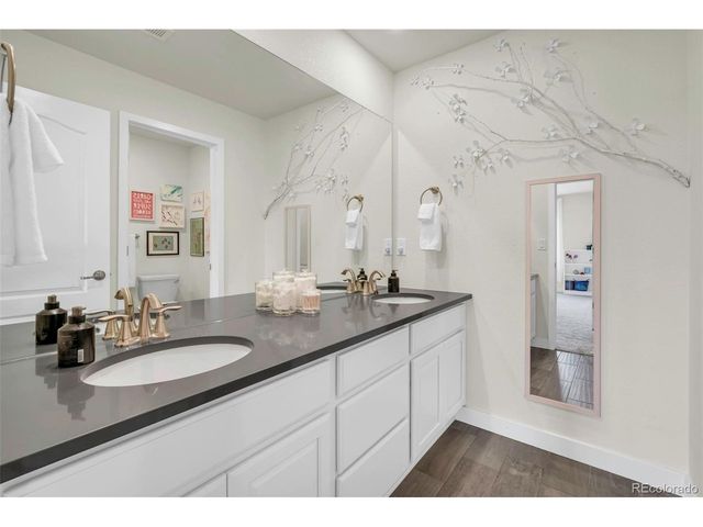 863 Carbonate Ln, Erie, CO 80516