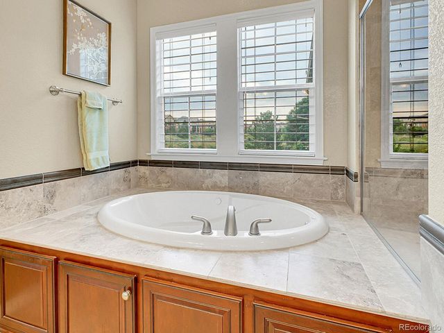 10432 Willowwisp Way, Highlands Ranch, CO 80126