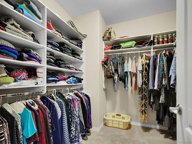 10432 Willowwisp Way, Highlands Ranch, CO 80126