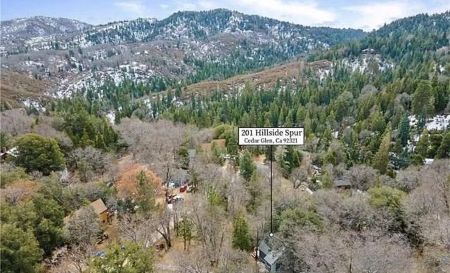 201 Hillside Spur, Cedar Glen, CA 92321