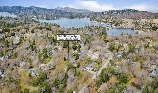 201 Hillside Spur, Cedar Glen, CA 92321