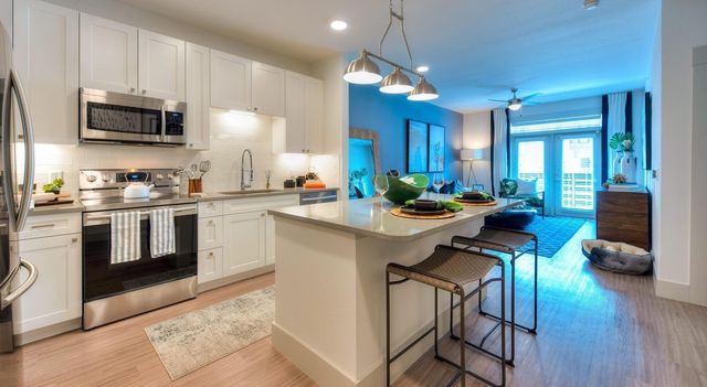 1330 Park West Green Dr 2301, Katy, TX 77493
