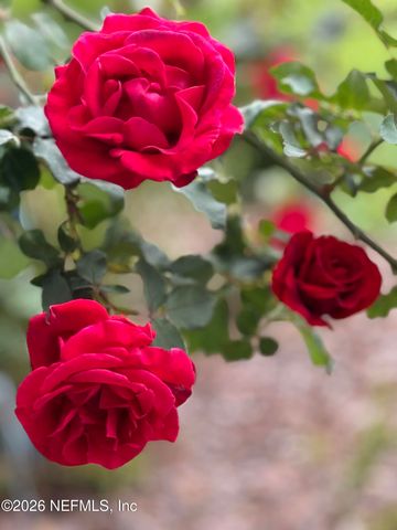 1240 FOUR MILE Road, St. Augustine, FL 32084