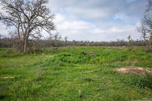 TBD FELIX RD, St Hedwig, TX 78152