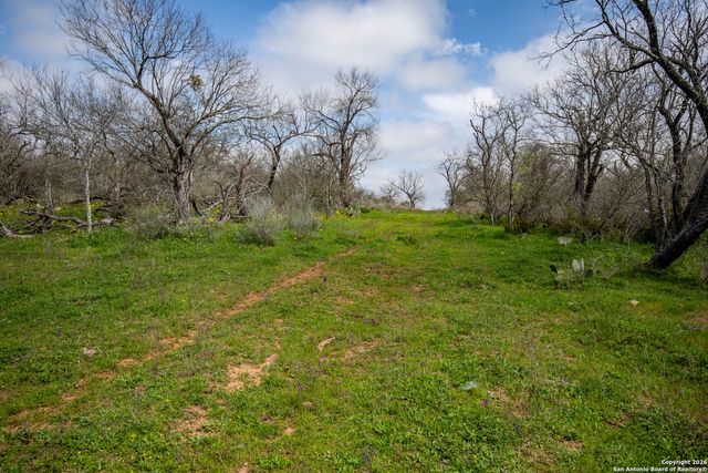 TBD FELIX RD, St Hedwig, TX 78152