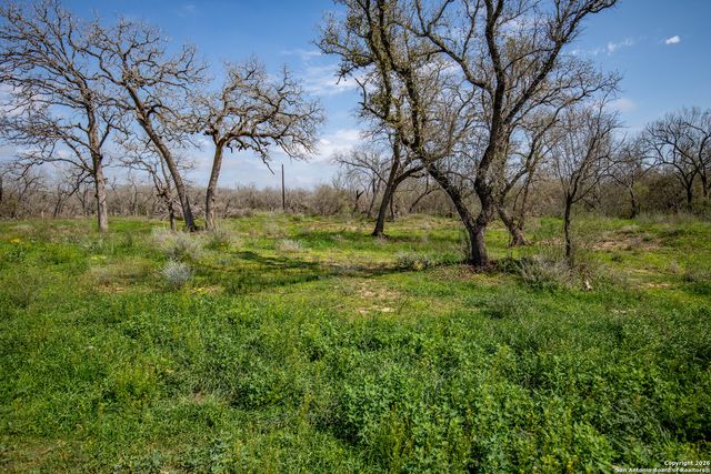 TBD FELIX RD, St Hedwig, TX 78152