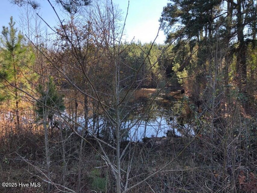 Image 1 of property listing at 316 Old Cheraw Highway, Rockingham, NC 28379