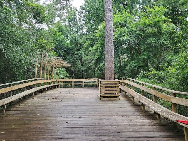 6306 Stillman Street, Houston, TX 77007