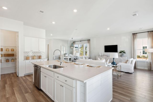 162 Sea Oats Street, Summerville, SC 29485