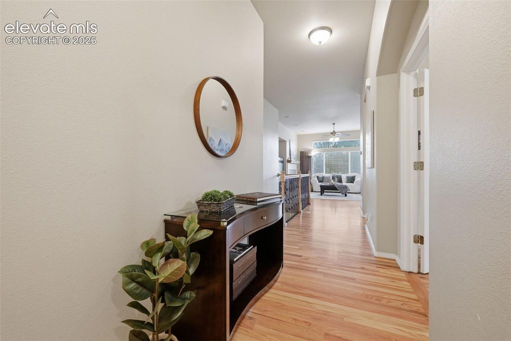 Image 24 of property listing at 249 Homeland Court, Colorado Springs, CO 80921