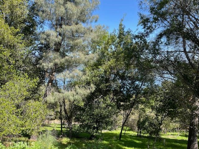 8444 Soda Bay Road, Kelseyville, CA 95451