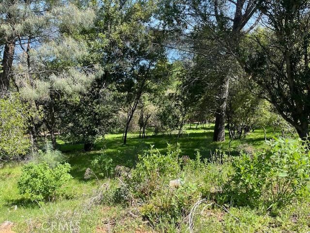 8444 Soda Bay Road, Kelseyville, CA 95451