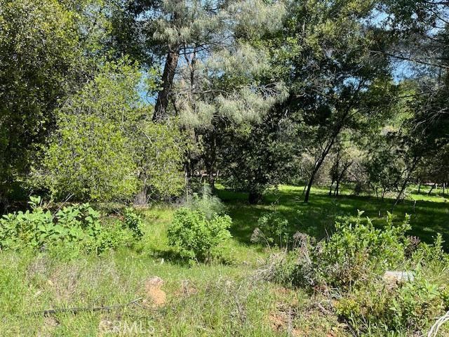 8444 Soda Bay Road, Kelseyville, CA 95451