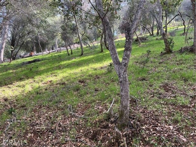 8444 Soda Bay Road, Kelseyville, CA 95451