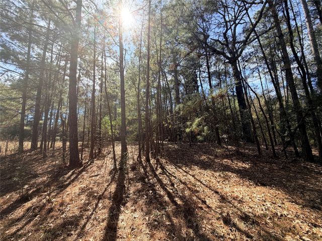 919 Pine Valley, Diboll, TX 75941