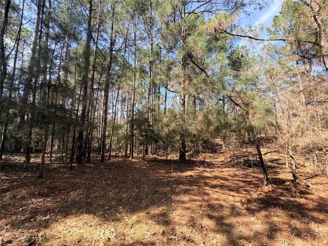 919 Pine Valley, Diboll, TX 75941