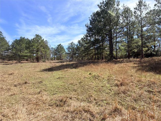 919 Pine Valley, Diboll, TX 75941