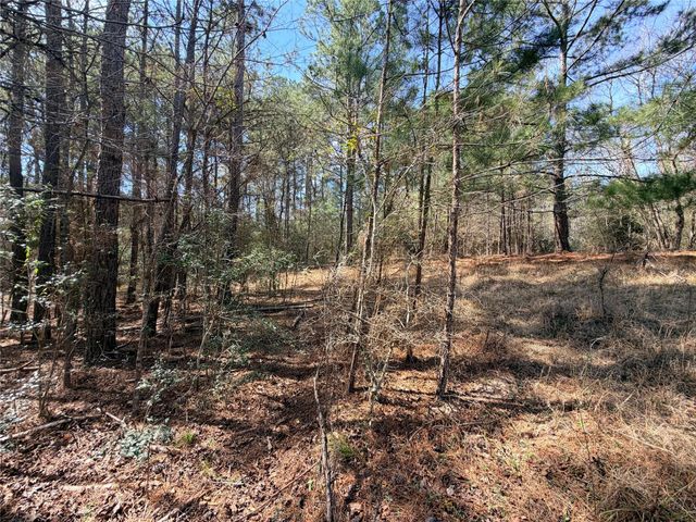 919 Pine Valley, Diboll, TX 75941