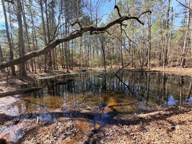 919 Pine Valley, Diboll, TX 75941