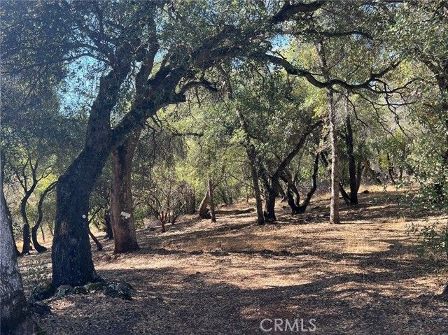 110 Roemelt Lane, Oroville, CA 95966