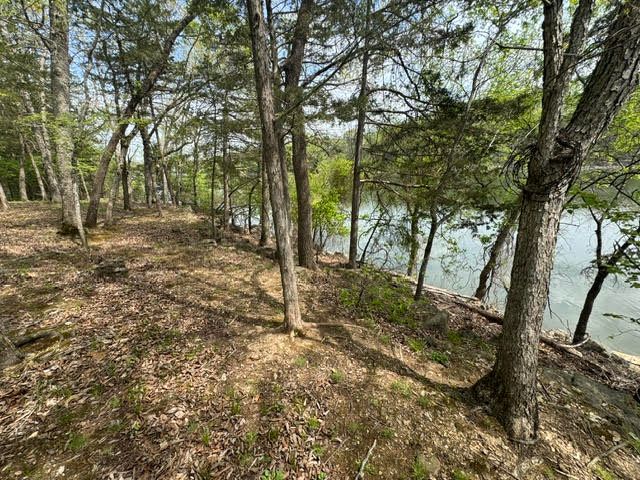 Doral Lane, Holiday Island, AR 72631
