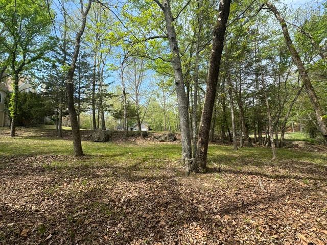 Doral Lane, Holiday Island, AR 72631
